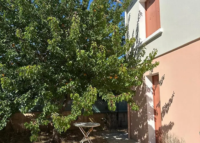 Apartament Maison Avec Jardin Proche Du Marche *